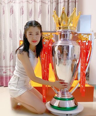 390mm Height Premier League Trophy CCC For Football Match