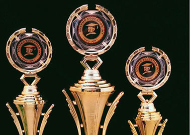 Sportsman Awarding Plastic Award Cups Trophies , Gold Plated Sports Cup Trophy